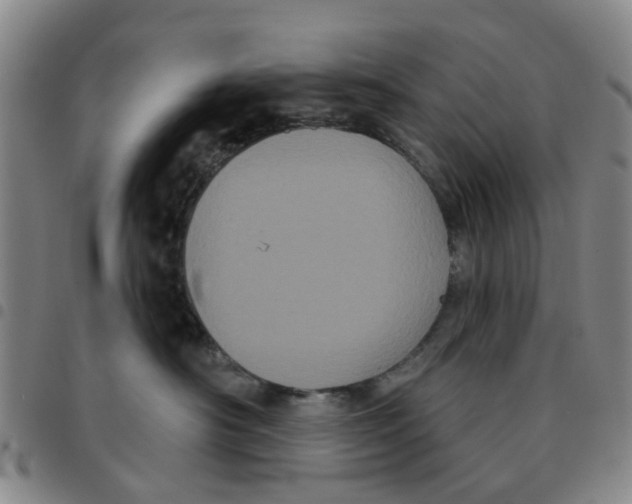 X0000097470430200803141917
