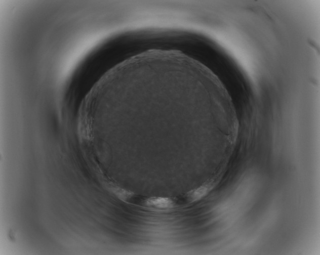 X0000097470431200803141917