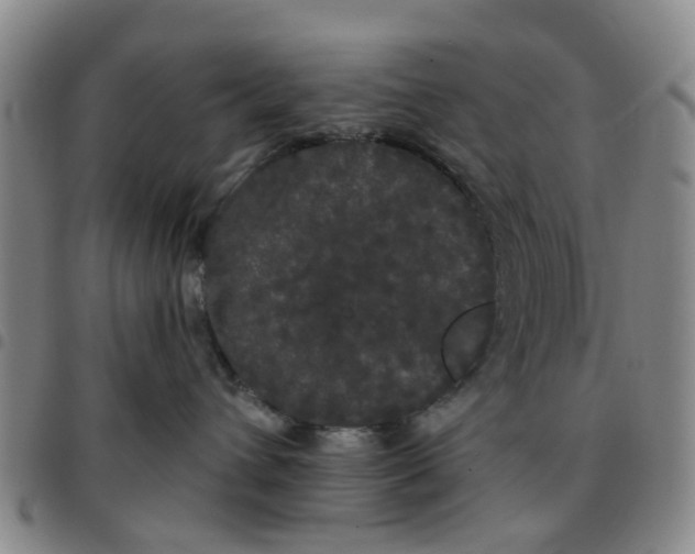 X0000097470432200803141917