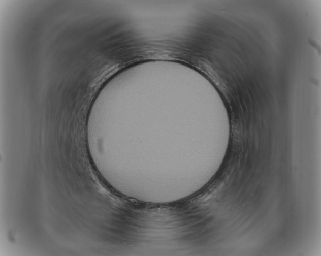 X0000097470433200803141916