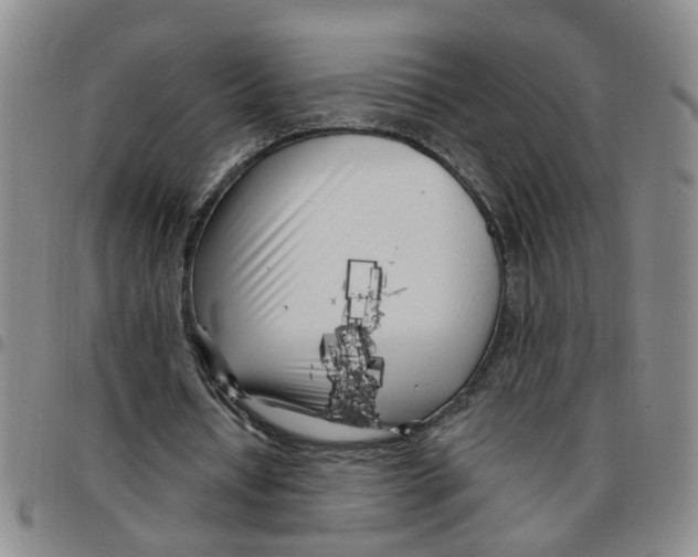X0000097470434200803141916
