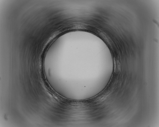 X0000097470435200803141916