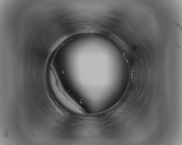 X0000097470436200803141916