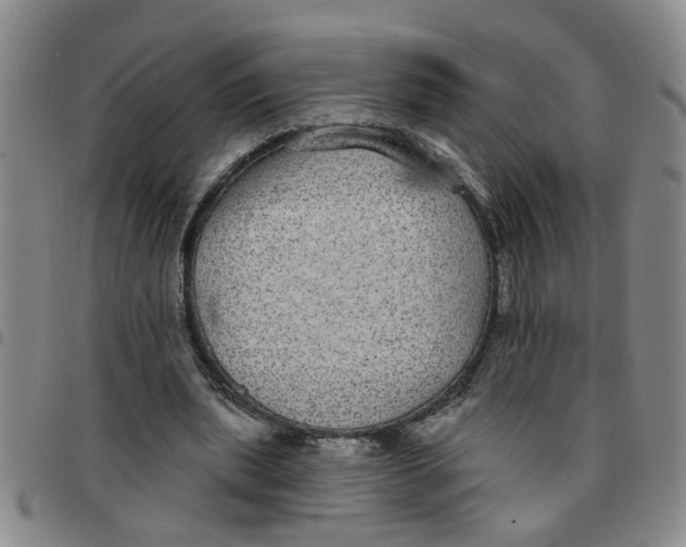 X0000097470439200803141916