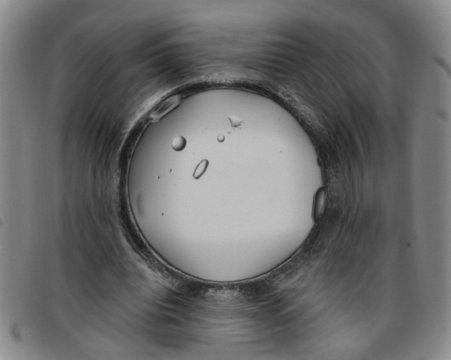 X0000097470440200803141916