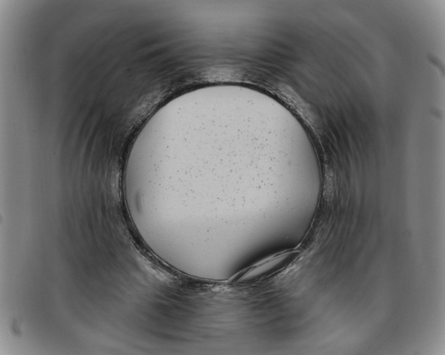 X0000097470441200803141916