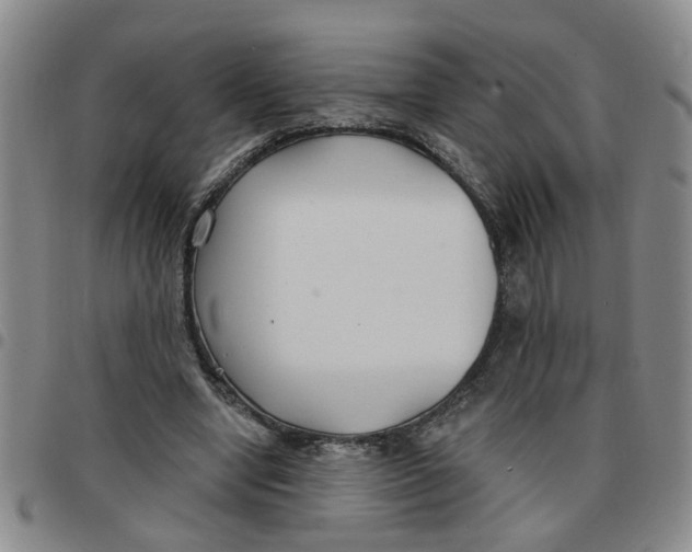 X0000097470442200803141916