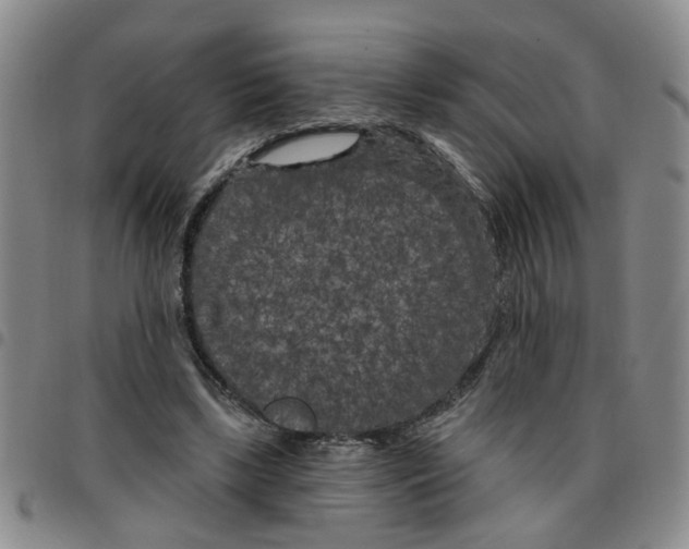 X0000097470443200803141916