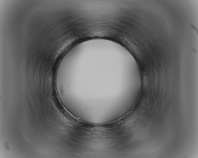 X0000097470444200803141916