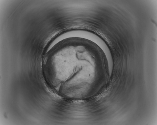X0000097470446200803141916