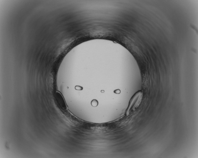X0000097470448200803141916
