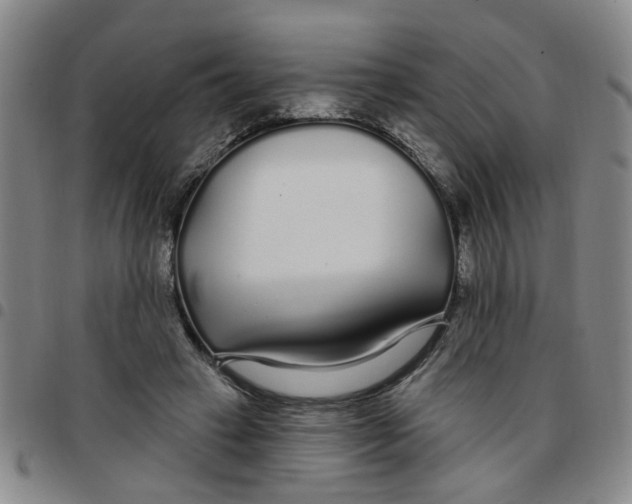 X0000097470449200803141916