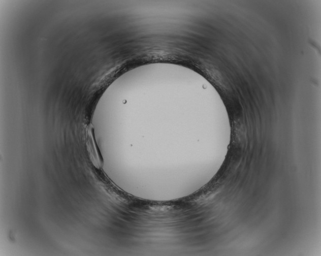 X0000097470450200803141916