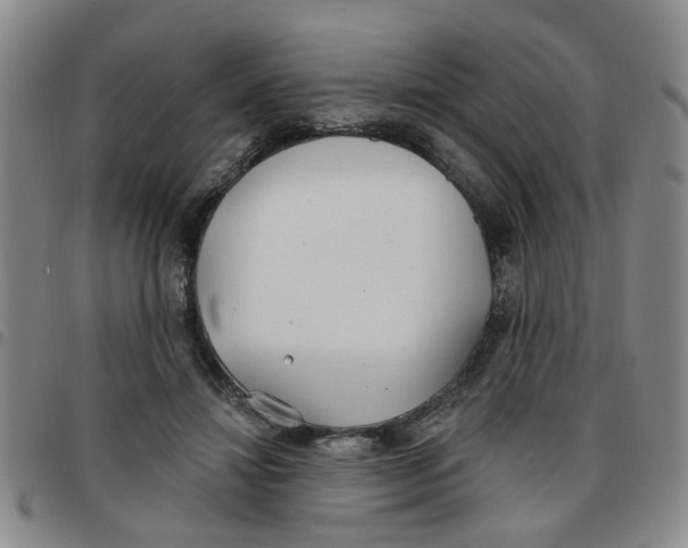 X0000097470452200803141916
