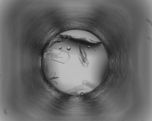 X0000097470454200803141916
