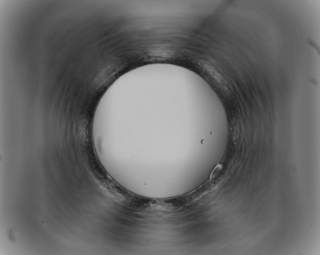 X0000097470455200803141916