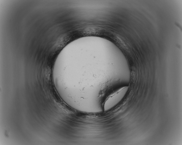 X0000097470458200803141917