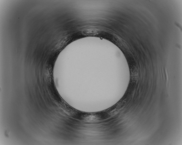 X0000097470460200803141917