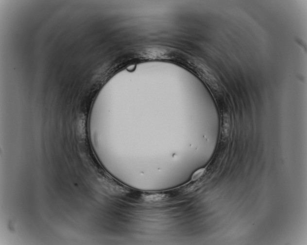 X0000097470461200803141917