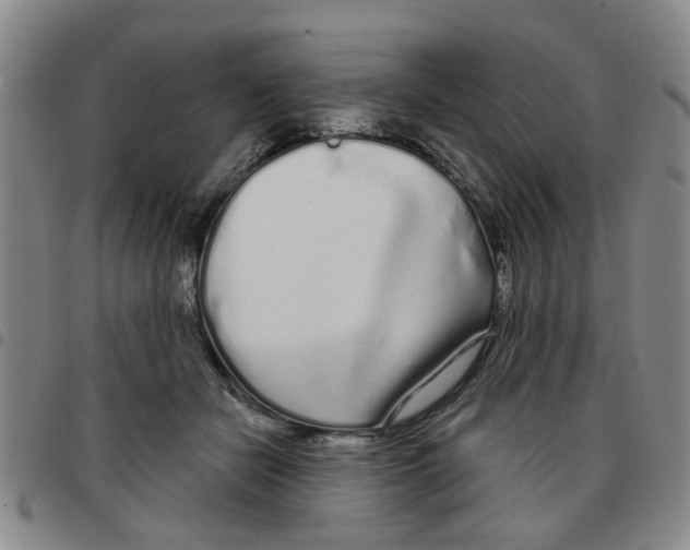 X0000097470462200803141917