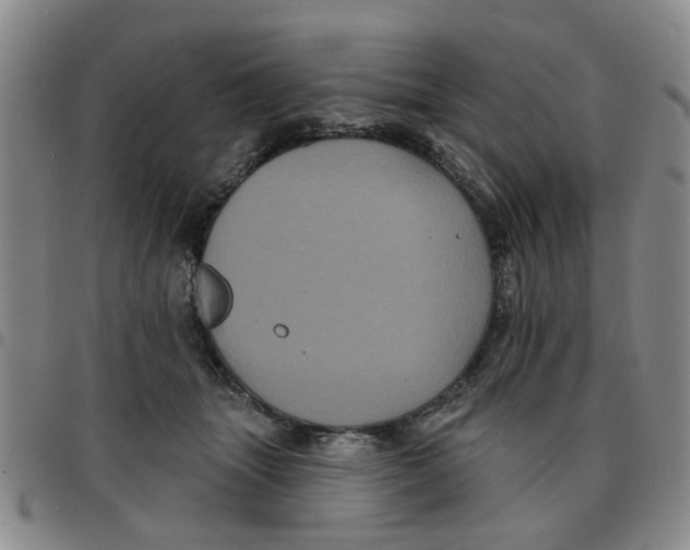 X0000097470463200803141917