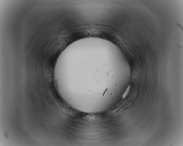 X0000097470464200803141917