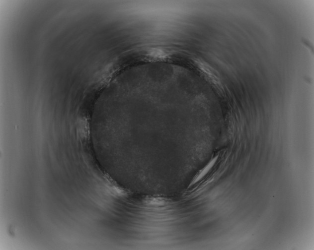 X0000097470467200803141917