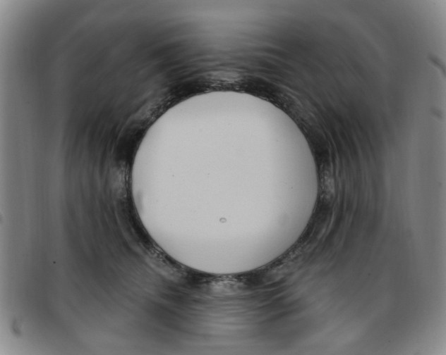 X0000097470468200803141917