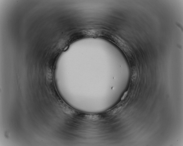 X0000097470469200803141917