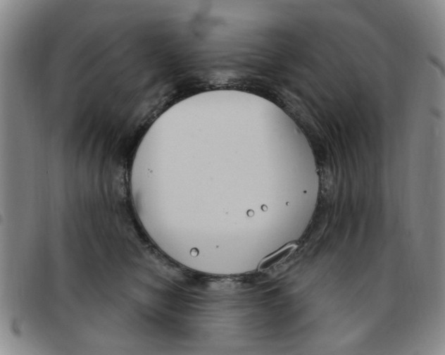 X0000097470470200803141917