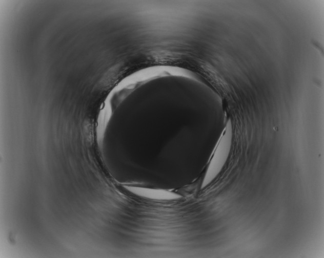 X0000097470471200803141917