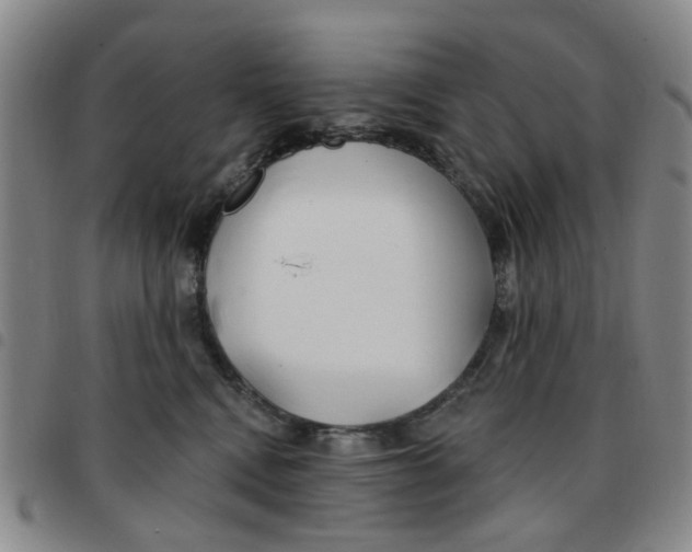 X0000097470472200803141917