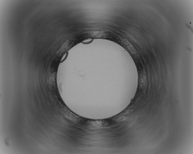 X0000097470473200803141917