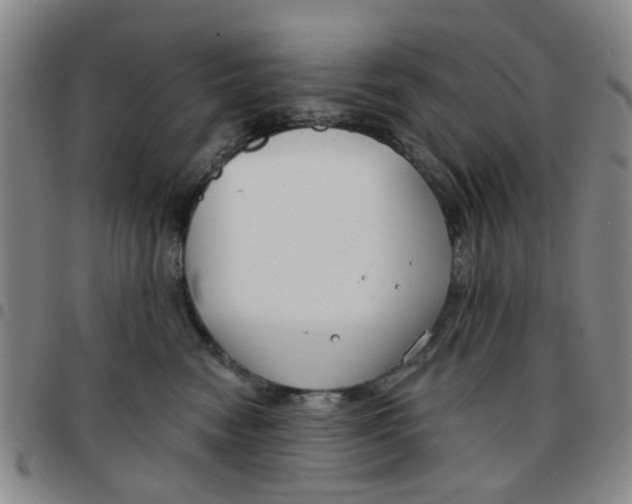 X0000097470474200803141917