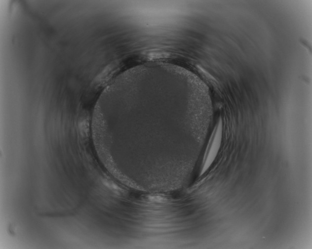 X0000097470475200803141917