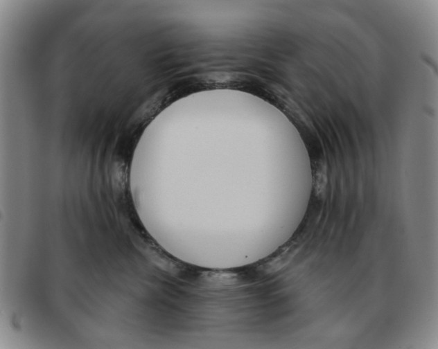X0000097470476200803141917