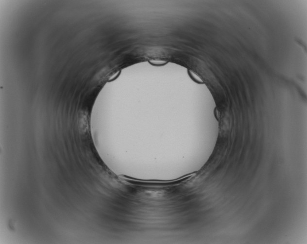 X0000097470478200803141917