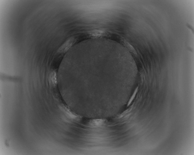 X0000097470479200803141917