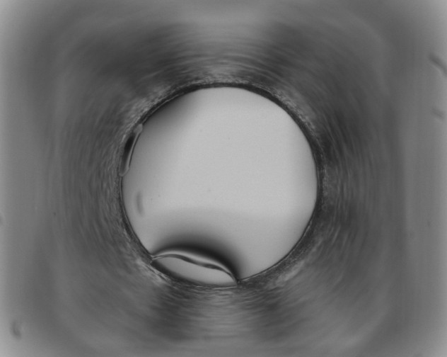 X0000097470481200803141916