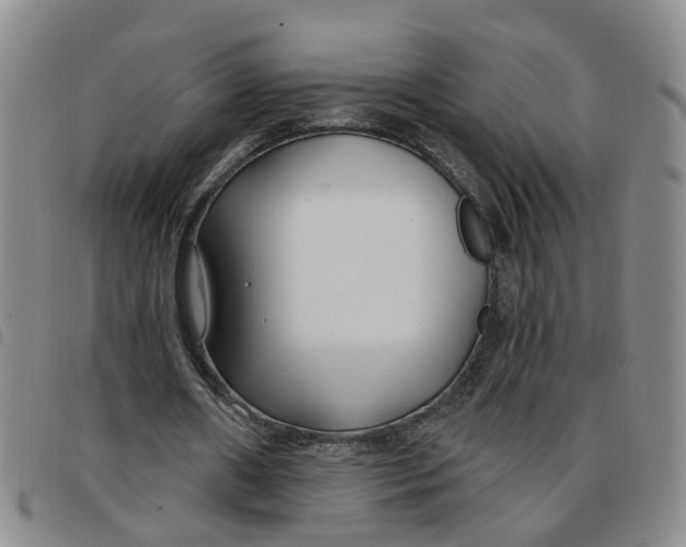 X0000097470482200803141916
