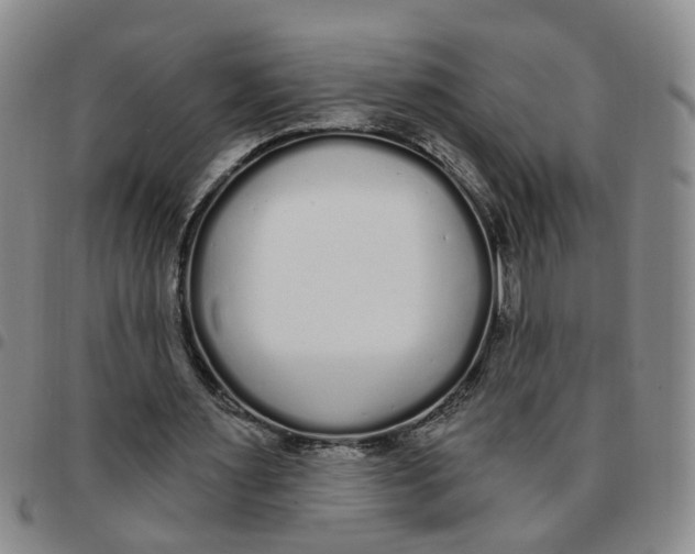 X0000097470483200803141916