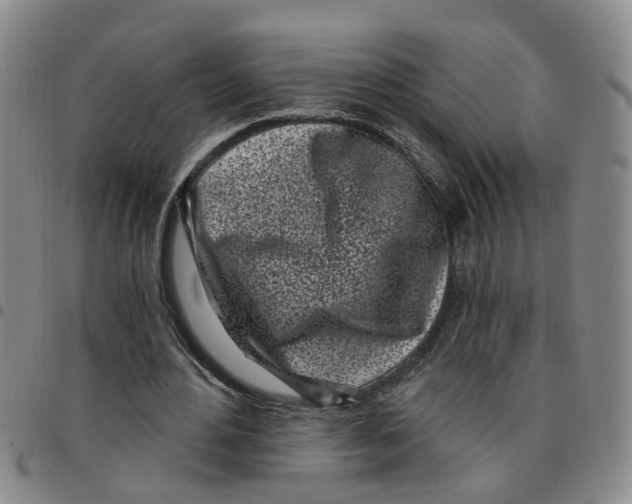 X0000097470484200803141916