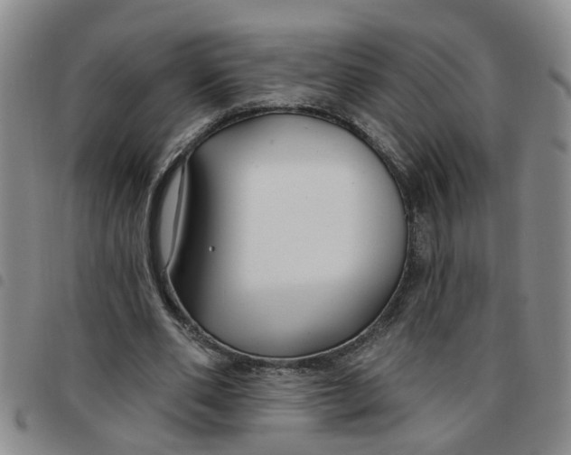 X0000097470486200803141916