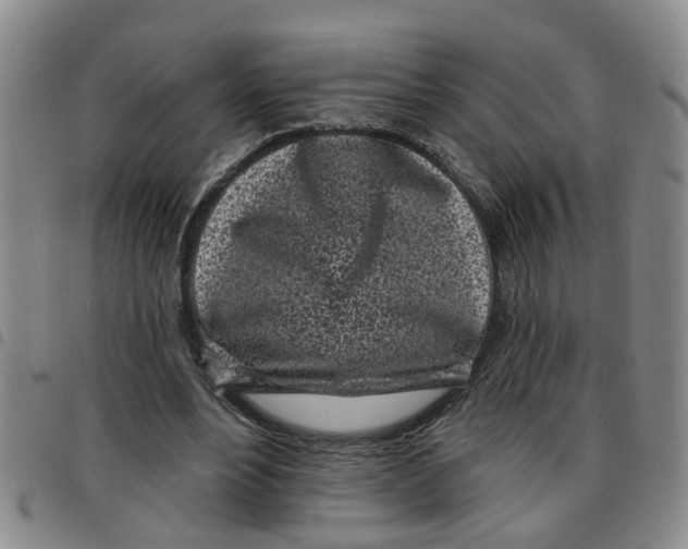 X0000097470488200803141916