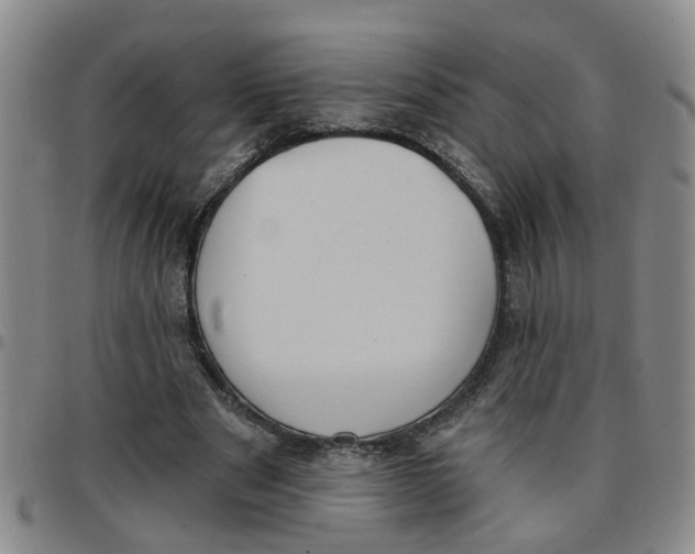X0000097470489200803141916
