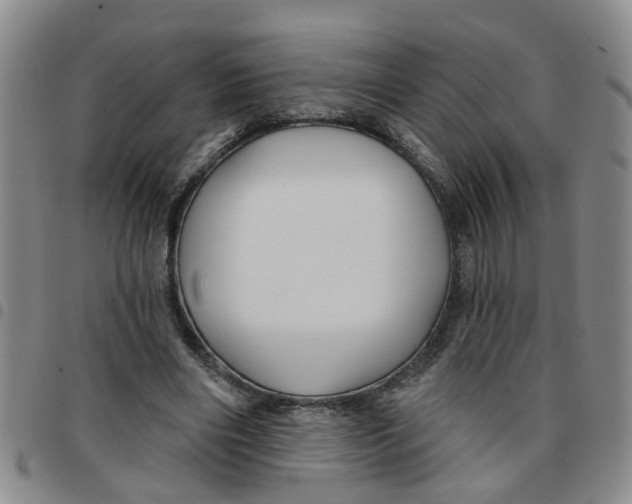 X0000097470490200803141916