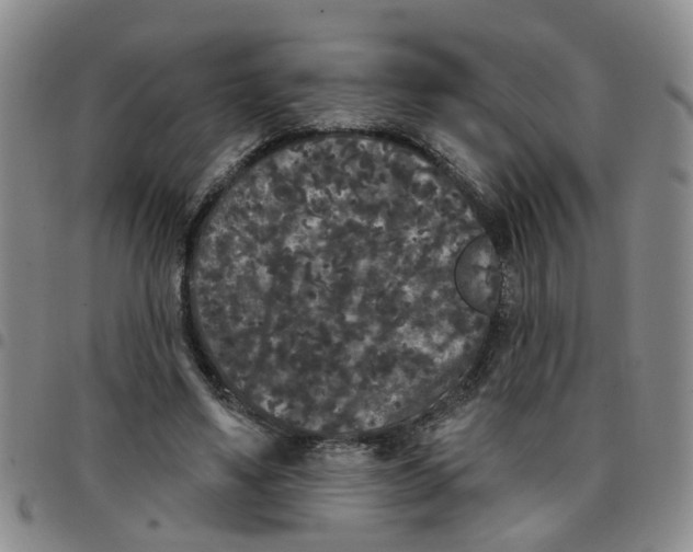 X0000097470491200803141916