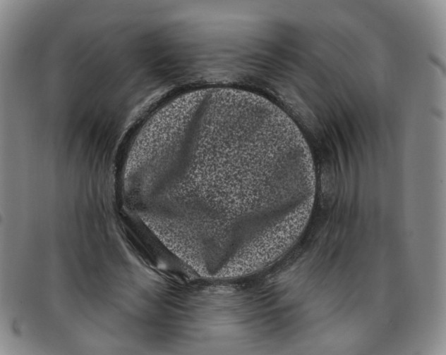 X0000097470492200803141916