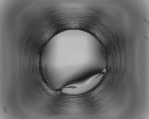 X0000097470493200803141916