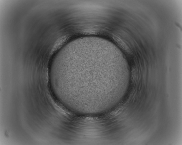 X0000097470494200803141916